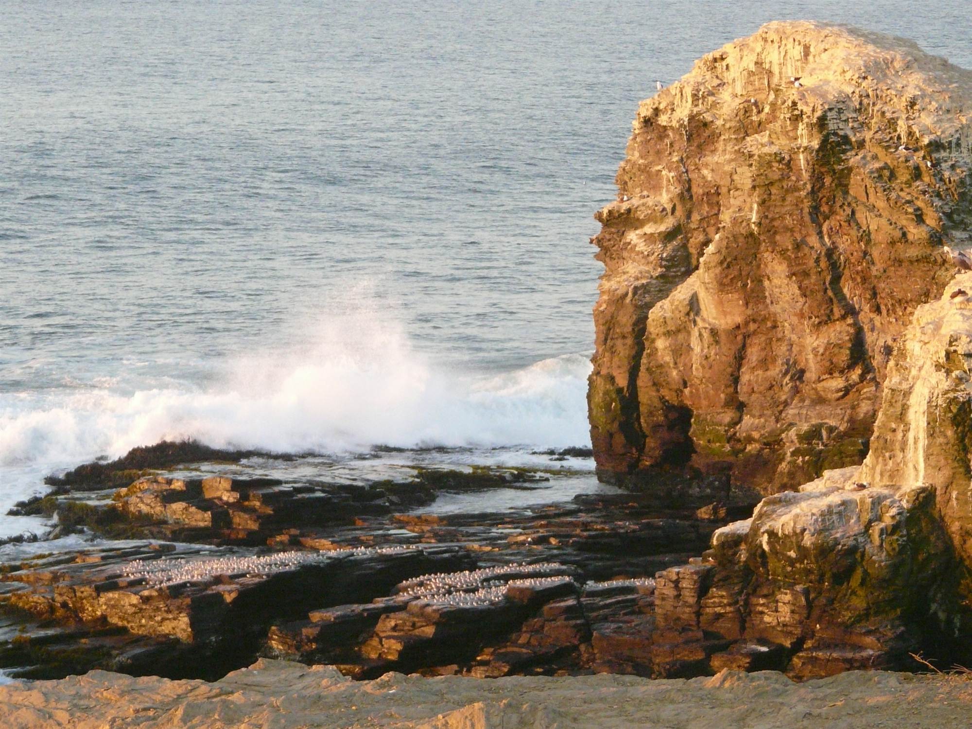 Olas en Punta de Lobos